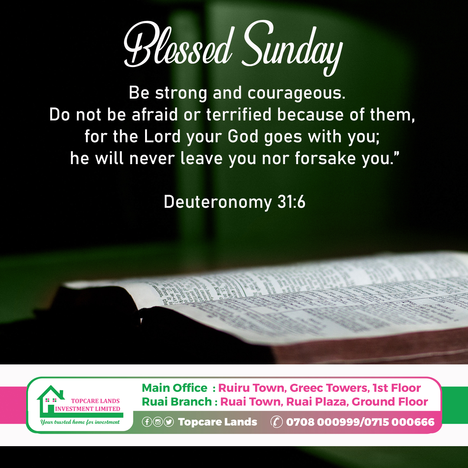 Blessed Sunday 30th April