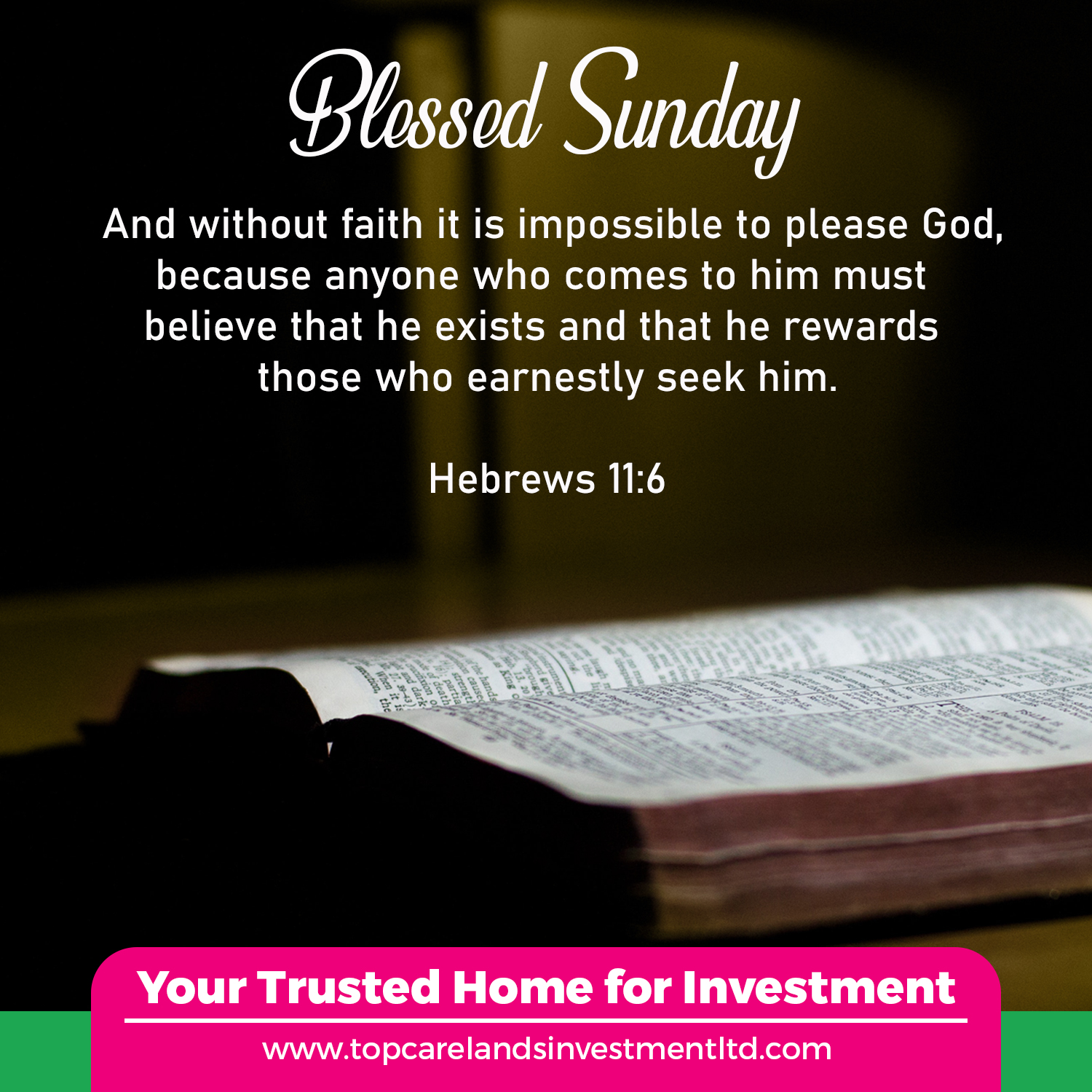 Blessed Sunday – Topcare Lands